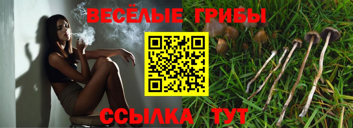 Псилоцибиновые грибы GOLDEN TEACHER  купить   Фрязино  Вход с VPN 